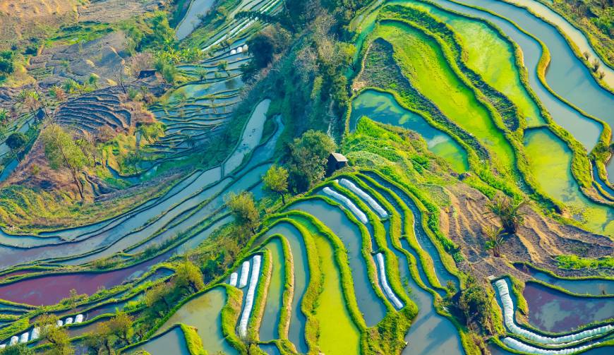 走进绥滨县TVC拍摄：解锁本地化场景与创意镜头的完美融合